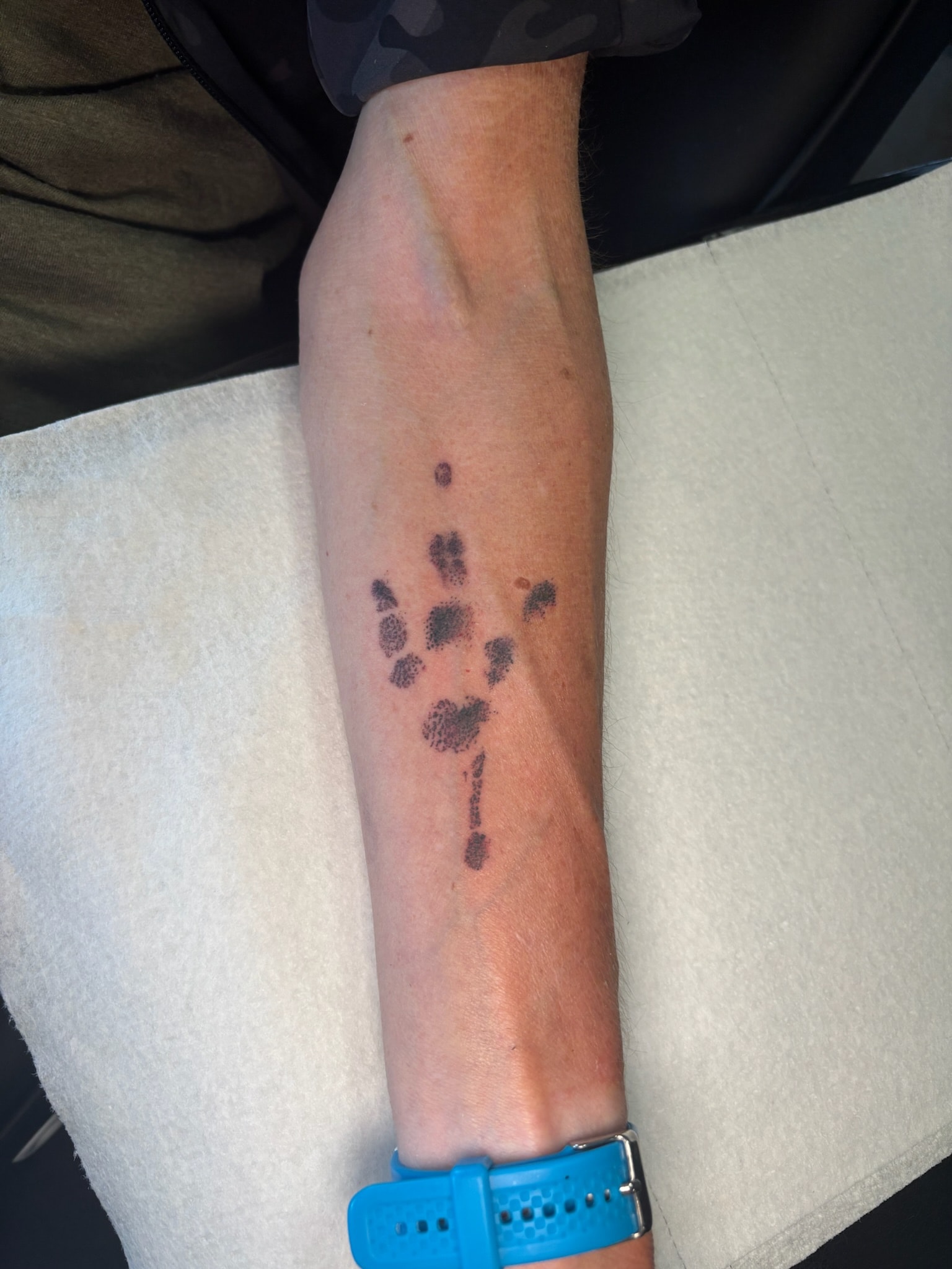 Paw print tattoo on forearm, fine line