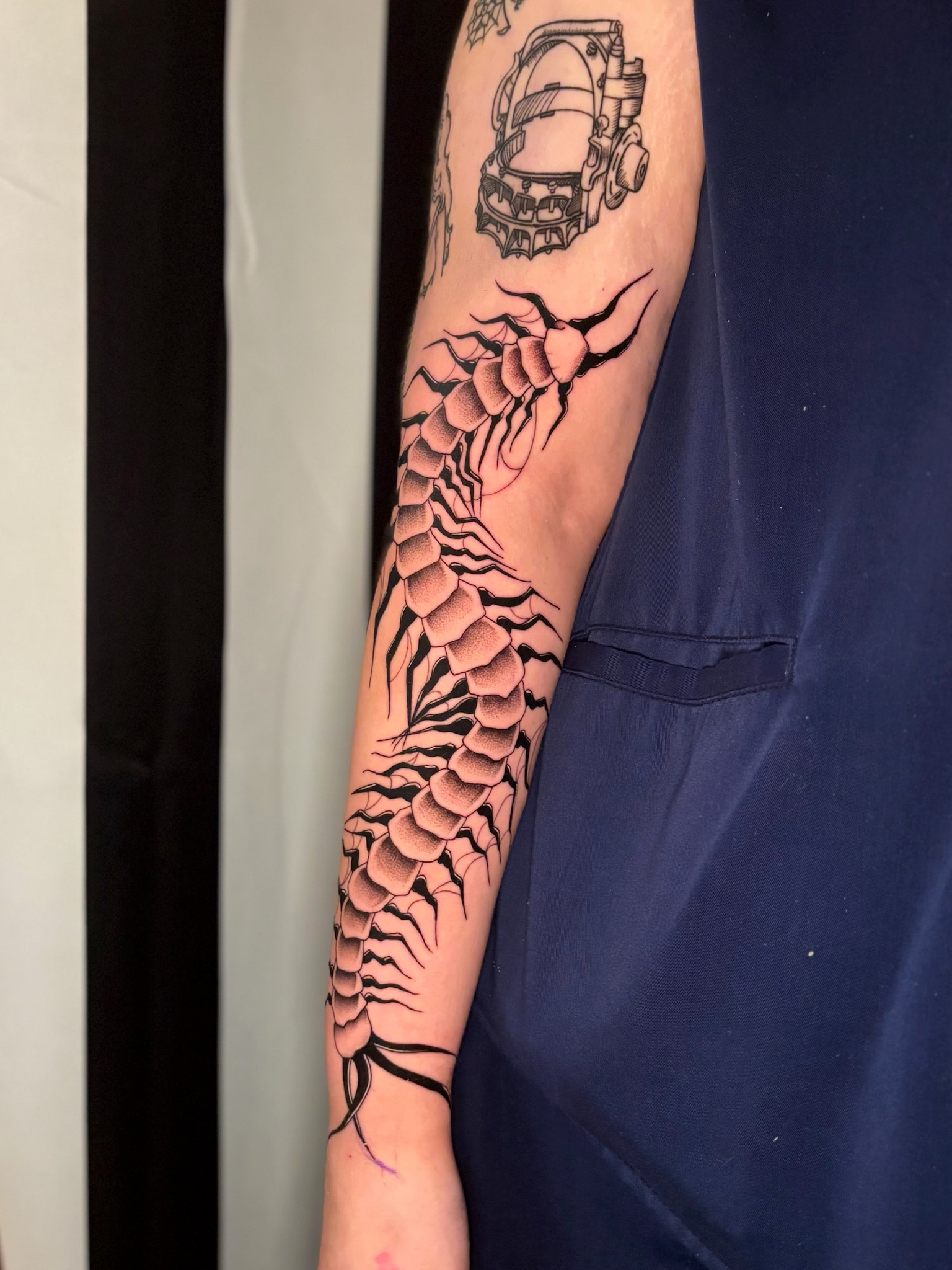 Large black and grey centipede tattoo wrapping down the forearm, black and grey
