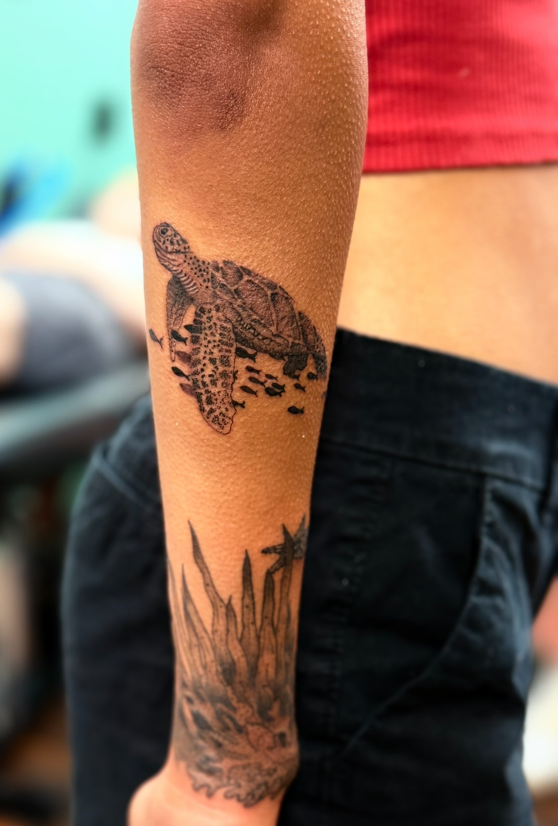 Detailed turtle tattoo on forearm, black and grey